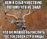 кем я себя чувствую, потому что не знал что вк можно вычислить гос тей своей стр а ницы