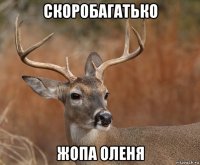 скоробагатько жопа оленя