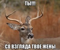 ты!!! со взгляда твое жены