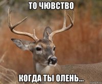 то чювство когда ты олень...