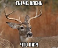 ты чё, олень что ли?!