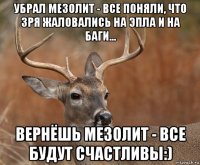 убрал мезолит - все поняли, что зря жаловались на эпла и на баги... вернёшь мезолит - все будут счастливы:)