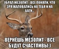 убрал мезолит - все поняли, что зря жаловались на тебя и на баги... вернёшь мезолит - все будут счастливы:)