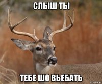 слыш ты тебе шо вьебать