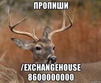 пропиши /exchangehouse 8600000000