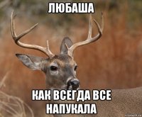 любаша как всегда все напукала