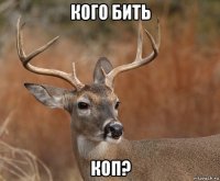 кого бить коп?