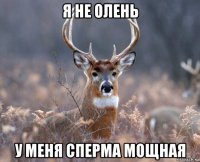 я не олень у меня сперма мощная