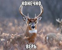 конечно верь