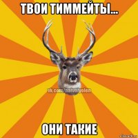 твои тиммейты... они такие