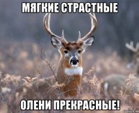 мягкие страстные олени прекрасные!