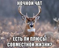 ночной чат есть ли плюсы совместной жизни?