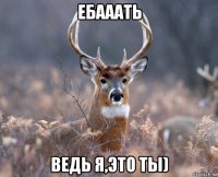 ебааать ведь я,это ты)