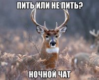 пить или не пить? ночной чат