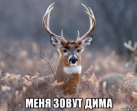  меня зовут дима