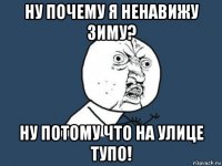 ну почему я ненавижу зиму? ну потому что на улице тупо!