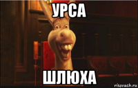 урса шлюха