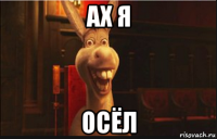 ах я осёл