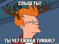 слыш ты! ты че? ёжик в тумане?