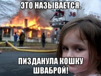 это называется. пизданула кошку шваброй!