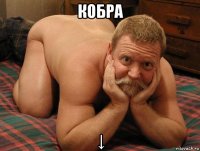 кобра ↓