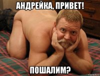 андрейка, привет! пошалим?