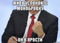 живо успокойте монобровку он в ярости