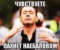 чувствуете пахнет наебаловом