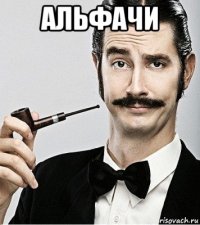 альфачи 