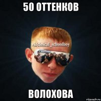 50 оттенков волохова