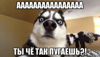 аааааааааааааааа ты чё так пугаешь?!