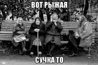 вот рыжая сучка то