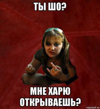 ты шо? мне харю открываешь?