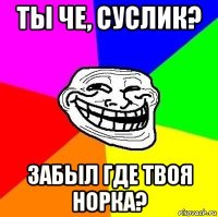 ты че, суслик? забыл где твоя норка?