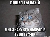 пошёл ты нах*й я не знаю кто насрал в твои туфли