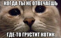 когда ты не отвечаешь где-то грустит котик