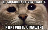 не заставляй котика плакать иди гулять с машей!