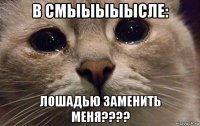 в смыыыыысле: лошадью заменить меня????