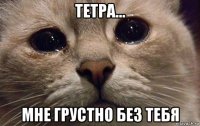 тетра... мне грустно без тебя