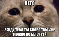 лето я жду тебя ты скоро там уже можно по быстрей