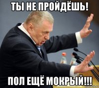 ты не пройдёшь! пол ещё мокрый!!!