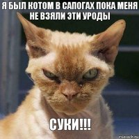 я был котом в сапогах пока меня не взяли эти уроды СУКИ!!!