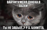 ванчи! у меня днюха в выхи! ты не забыл..? p.s. бонитта.