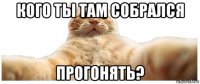 кого ты там собрался прогонять?