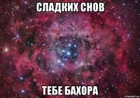 сладких снов тебе бахора