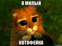 я милый котофейка