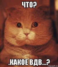 что? .какое вдв...?