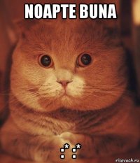 noapte buna :* :*