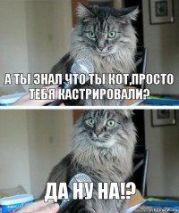 А ты знал что ты кот,просто тебя кастрировали? Да ну на!?