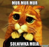 mur mur mur solniwka moja